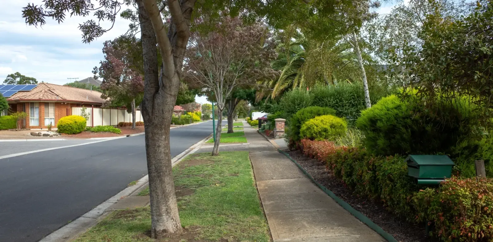 Quiet tree-lined suburban street of brick homes with a footpath and trimmed garden hedges